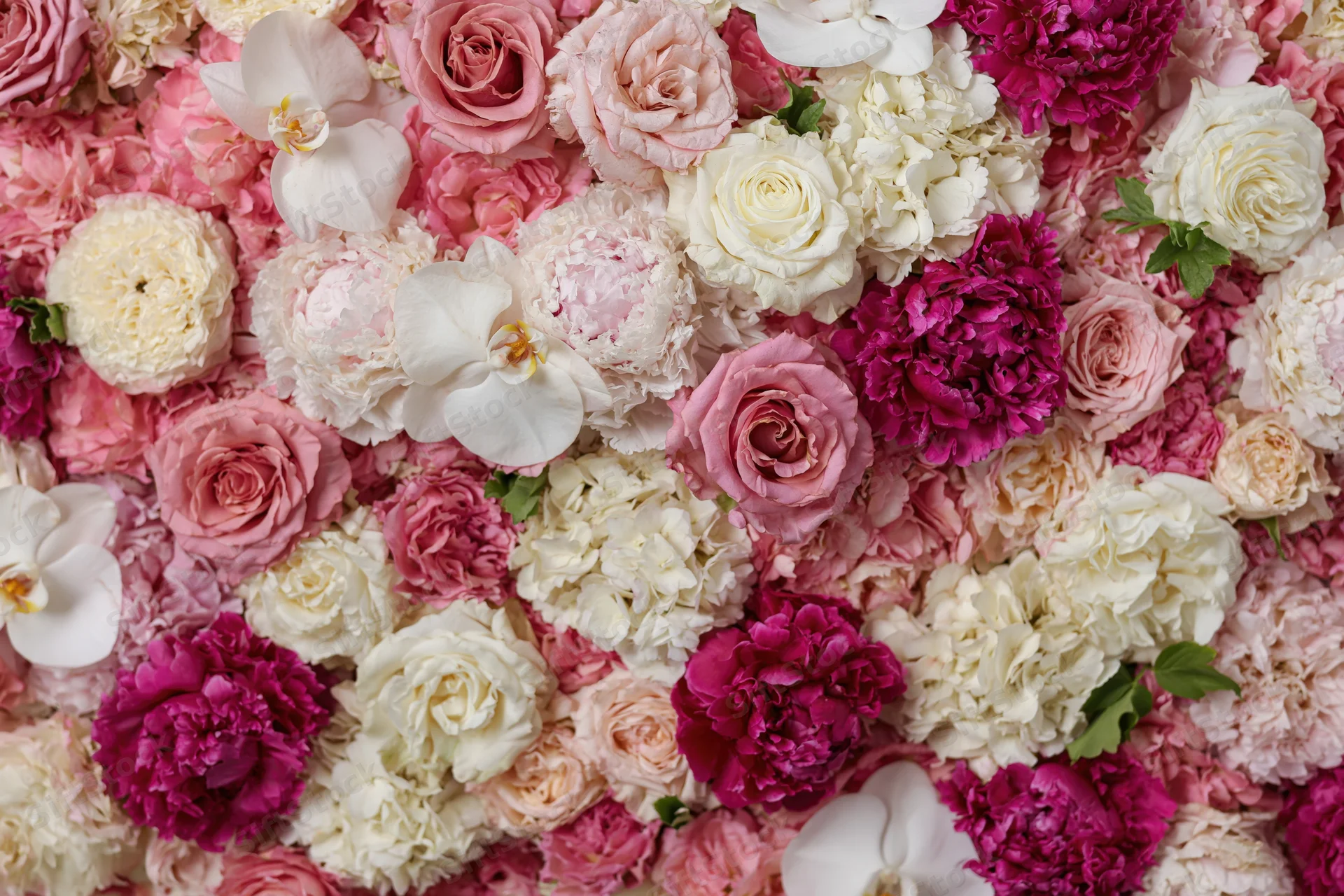 Dense floral wall arrangement of roses, peonies and orchids in pink, white and magenta hues