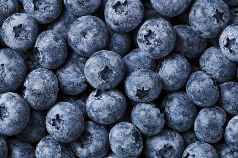 Closeup of fresh blueberries filling the frame with natural bloom and textured skin
