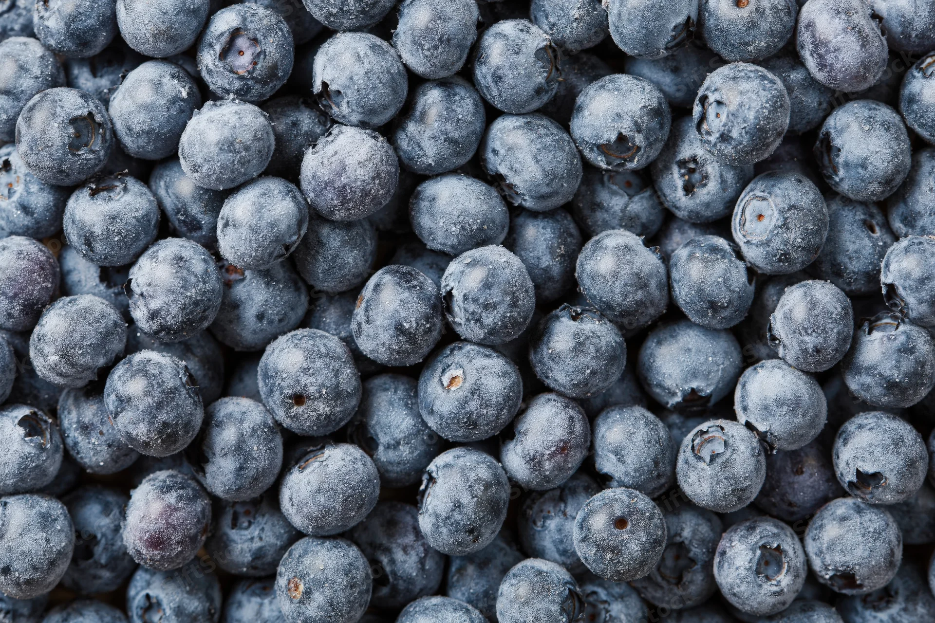 Frozen blueberries filling the frame in a close-up view
