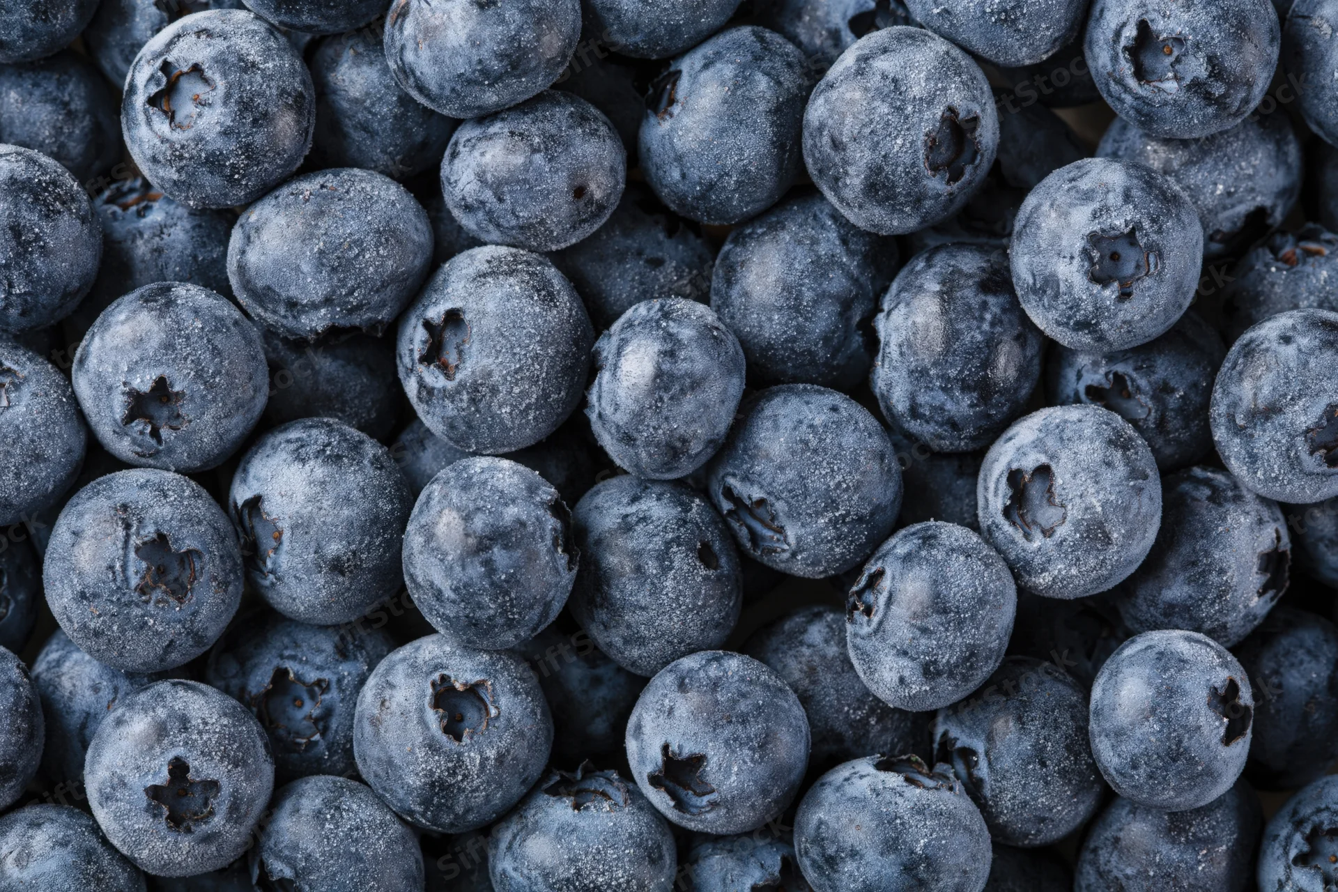 Closeup of fresh blueberries filling the frame in a dense cluster
