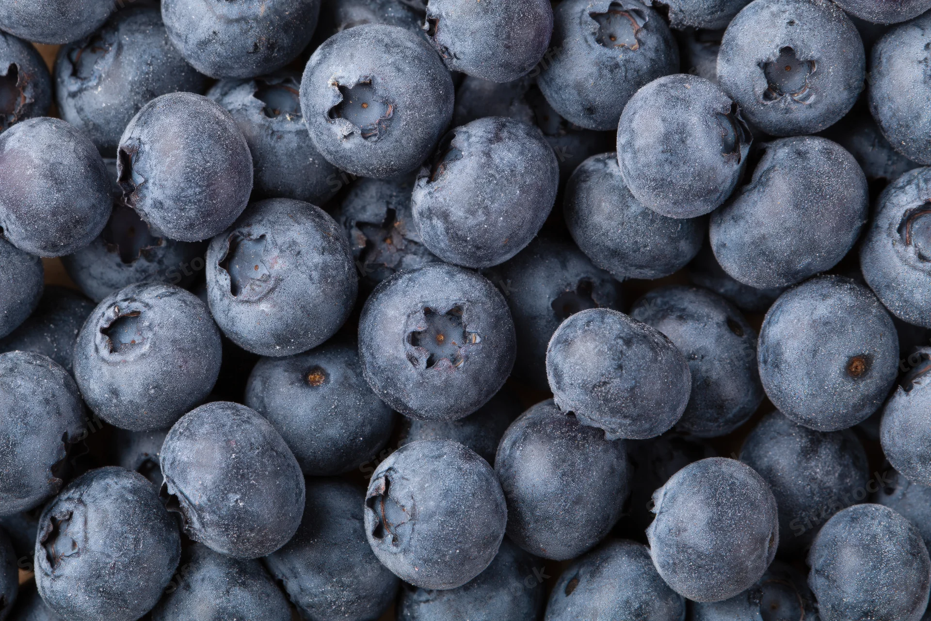 Closeup of fresh blueberries filling the frame in a dense cluster