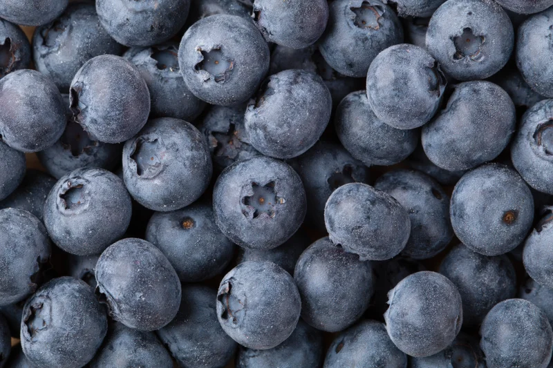 Closeup of fresh blueberries filling the frame in a dense cluster