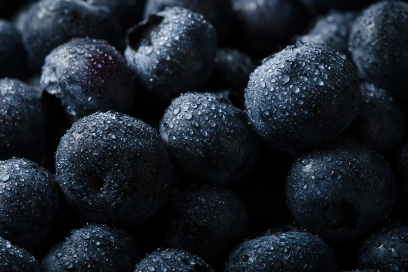 Closeup of fresh blueberries covered in water droplets filling the frame