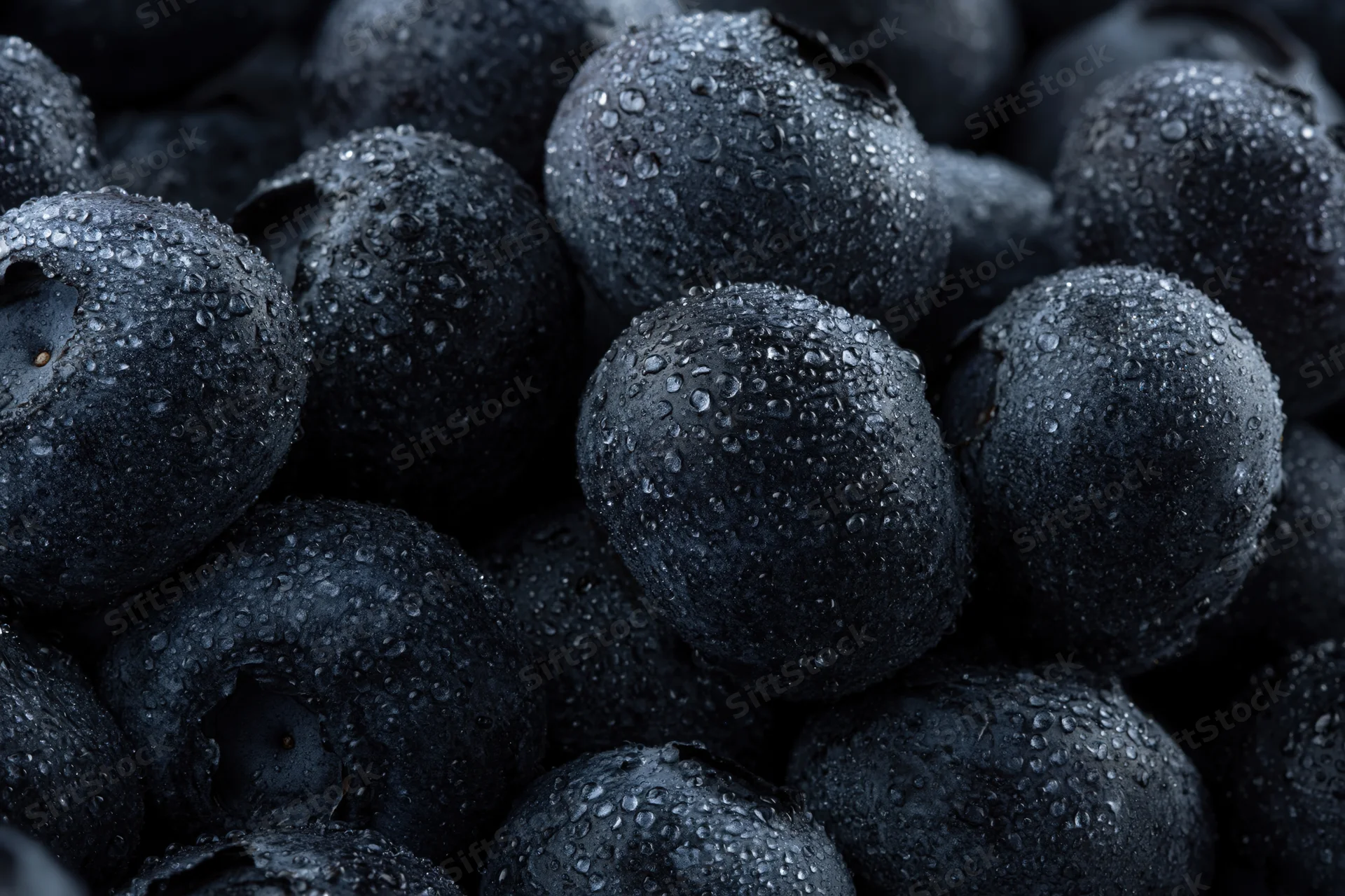 Closeup of fresh blueberries covered in water droplets filling the frame