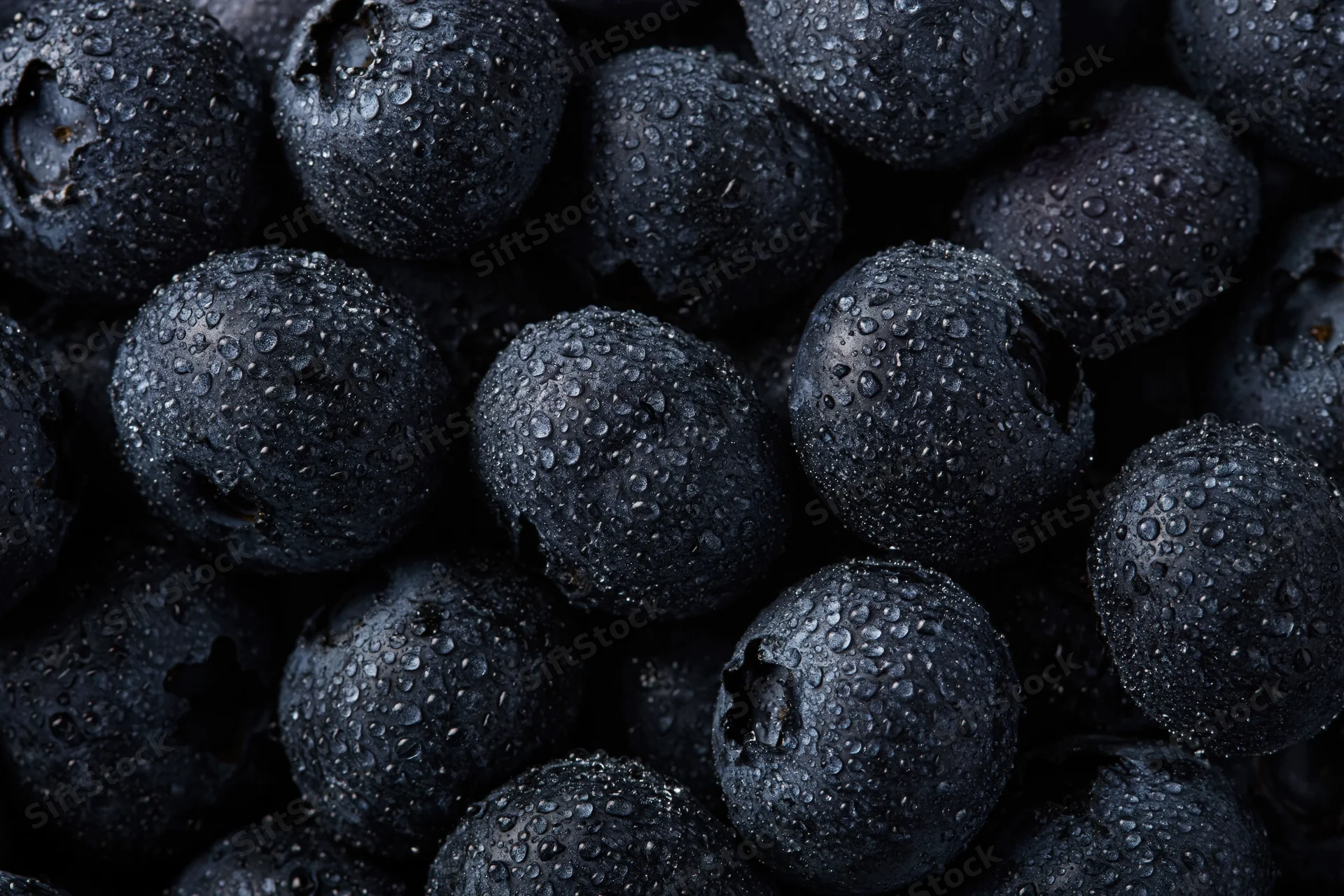 Closeup of fresh blueberries covered in water droplets filling the frame