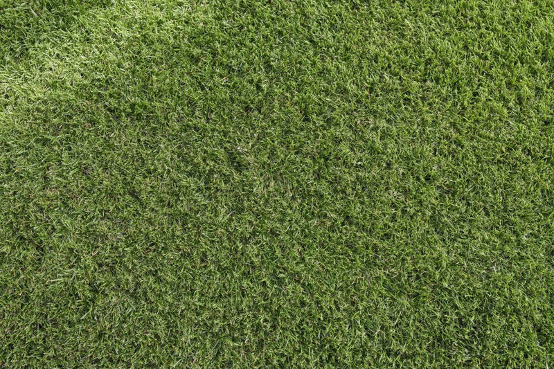 Overhead view of freshly mowed green lawn grass filling the frame