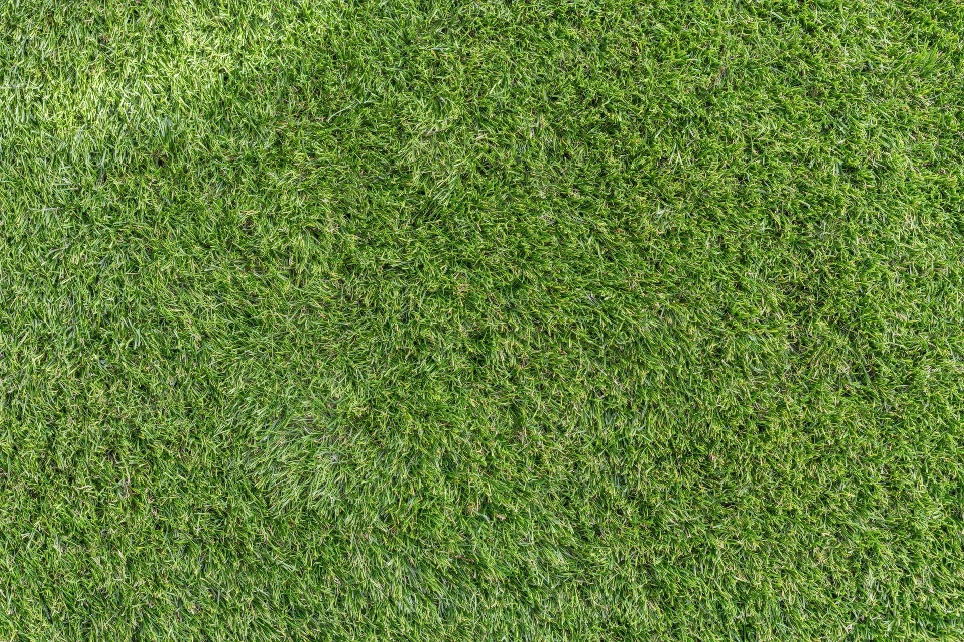 Overhead view of freshly mowed green lawn grass filling the frame