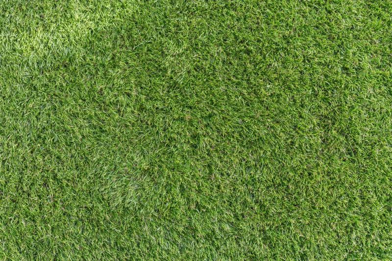 Overhead view of freshly mowed green lawn grass filling the frame