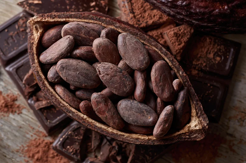 Halved cacao pod filled with raw cocoa beans resting on wooden surface among chocolate bars and cocoa powder