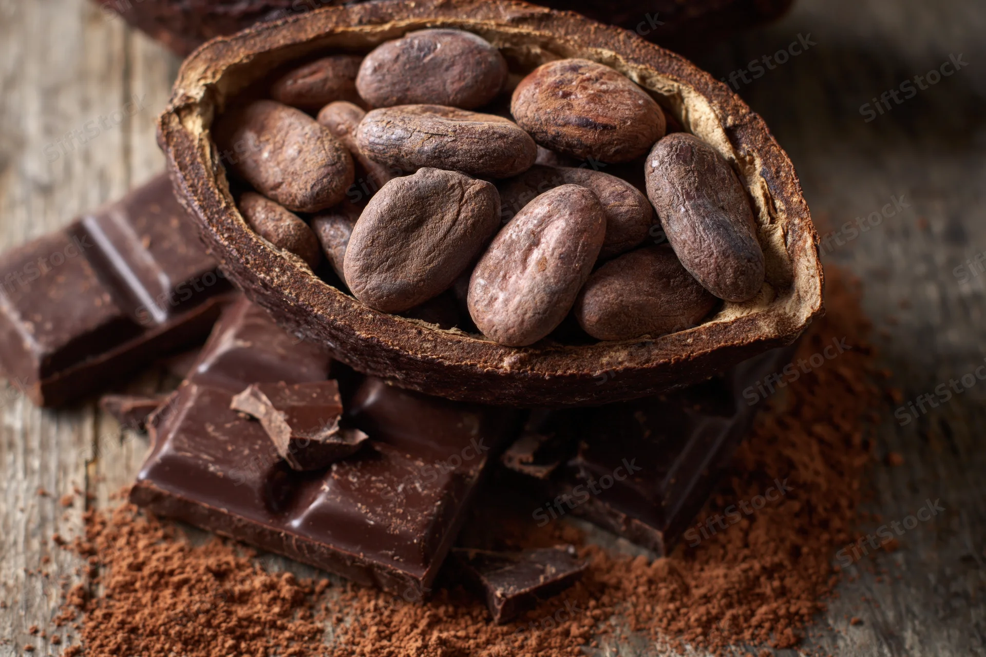 Halved cacao pod filled with raw cocoa beans resting on wooden surface with chocolate bars and cocoa powder scattered around