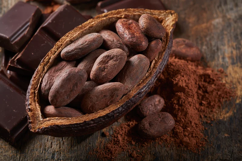 Halved cacao pod filled with raw cocoa beans resting on wooden surface with chocolate bars and cocoa powder nearby