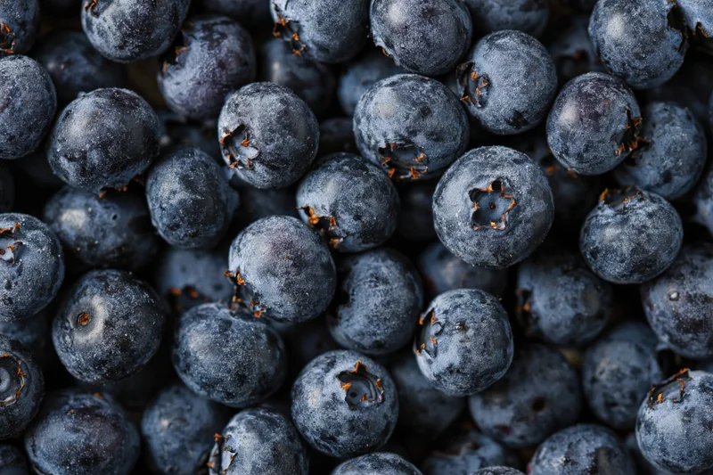 Closeup of fresh blueberries packed tightly together filling the frame
