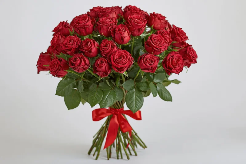 Large bouquet of deep red roses with green foliage tied with a red ribbon on a white background