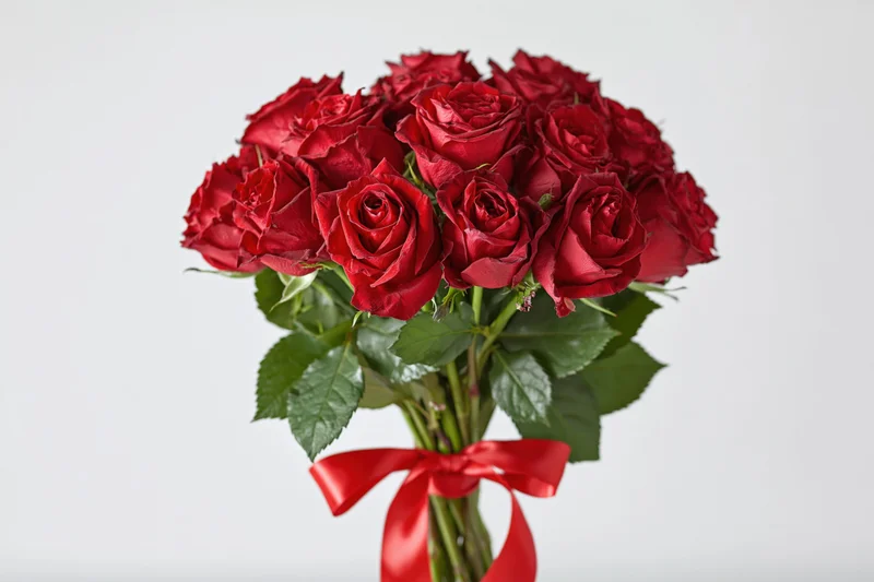 Large bouquet of deep red roses with green foliage tied with a red ribbon against white background