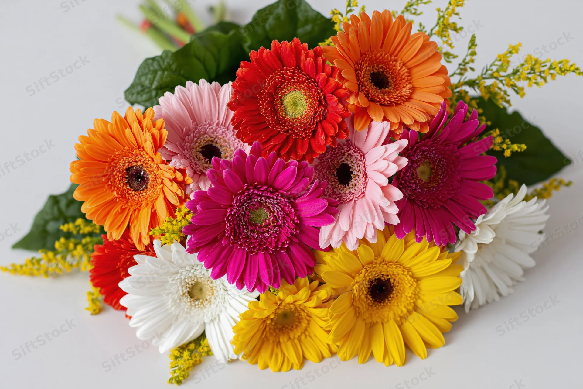 Mixed gerbera daisy bouquet arranged loosely on flat white surface