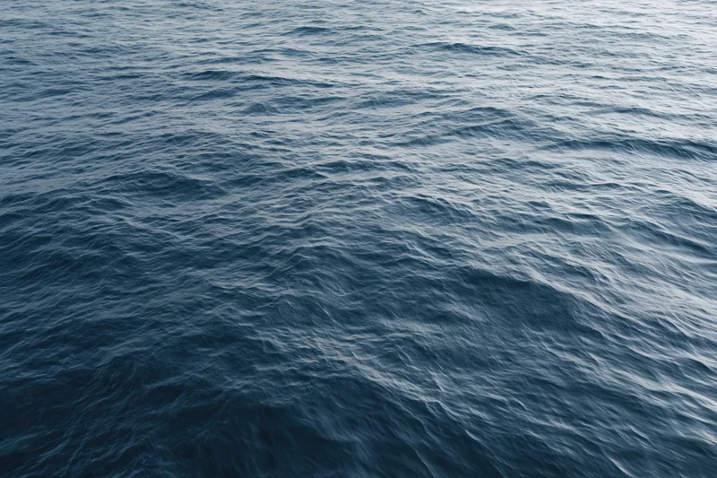Open ocean surface with gentle waves and no horizon visible