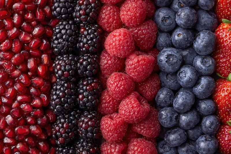 Overhead flat-lay of mixed fresh berries arranged in vertical columns showing pomegranate seeds, blackberries, raspberries, blueberries and strawberries