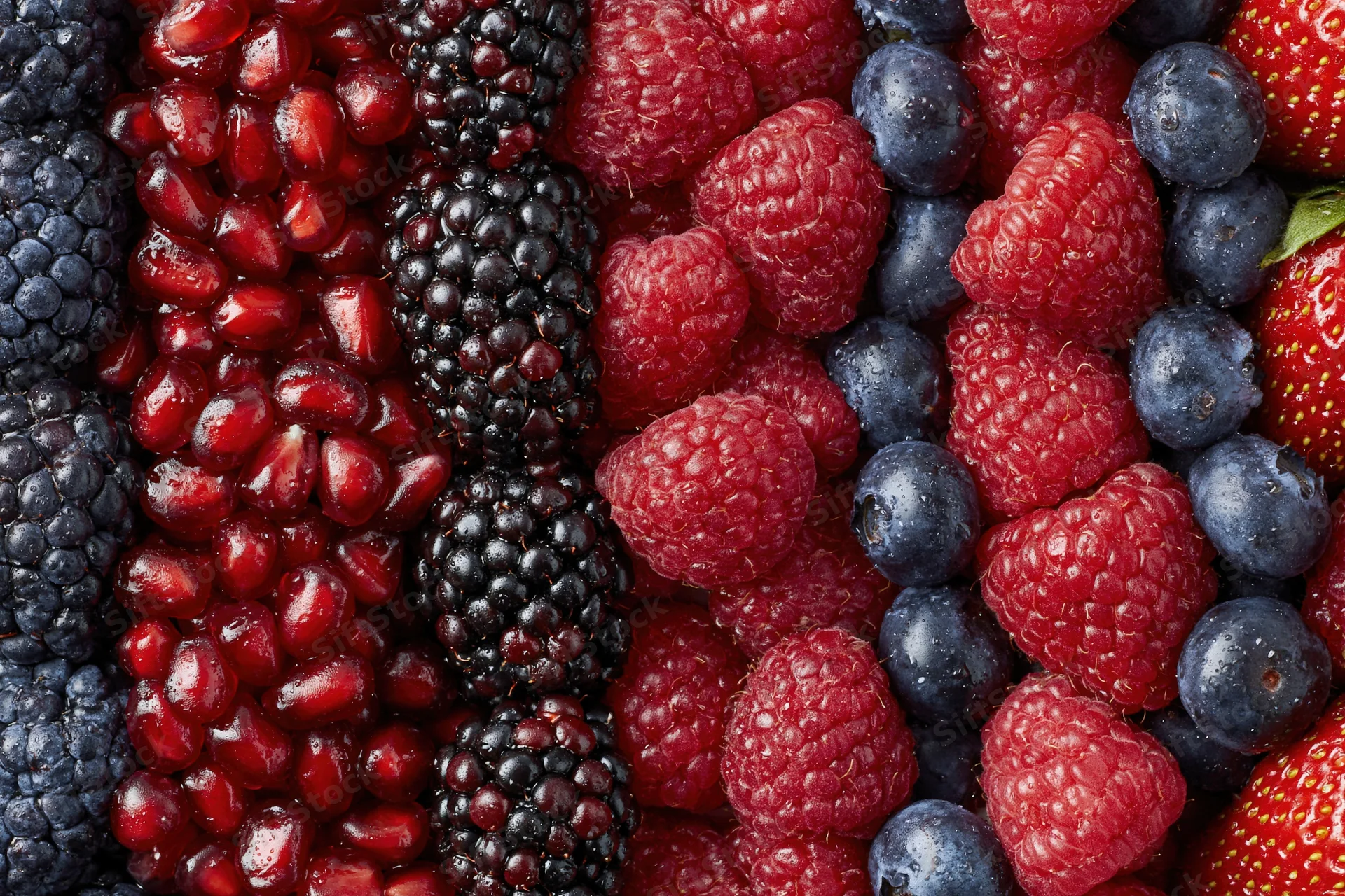 Overhead flat-lay of mixed fresh berries arranged in vertical rows