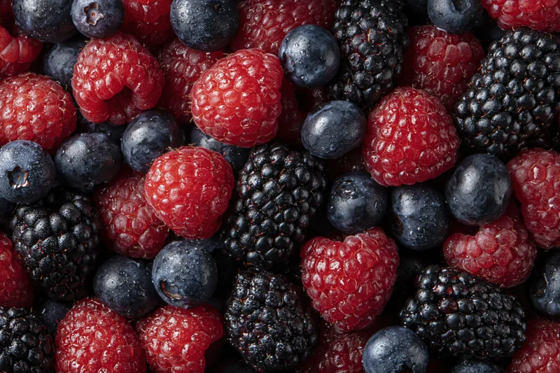 Overhead closeup of mixed fresh raspberries blueberries and blackberries in a flat lay arrangement