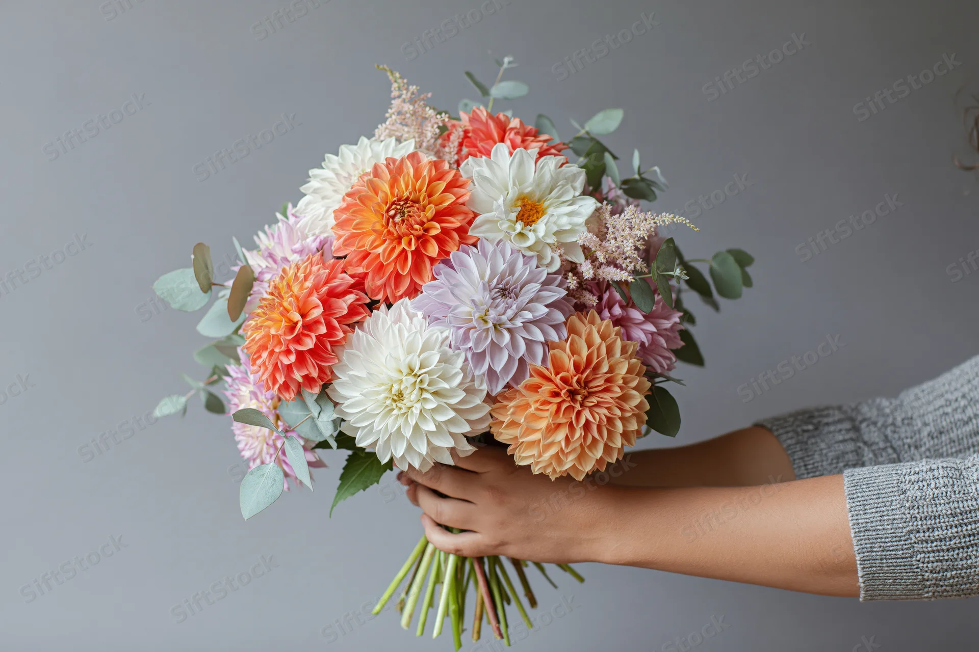 Woman holding a lush mixed dahlia bouquet with both hands against gray background