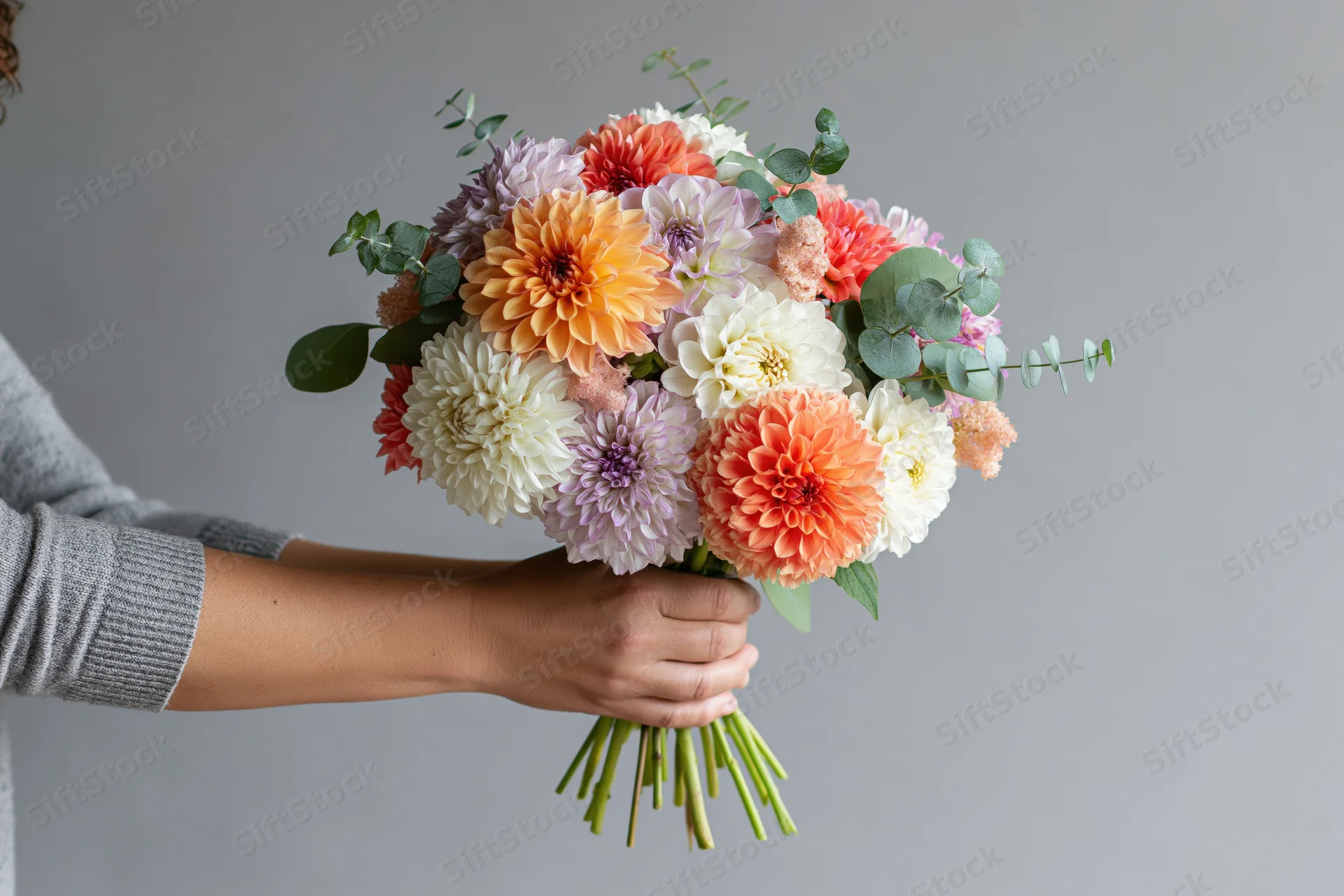 Woman holding a colorful dahlia bouquet with both hands against a gray background