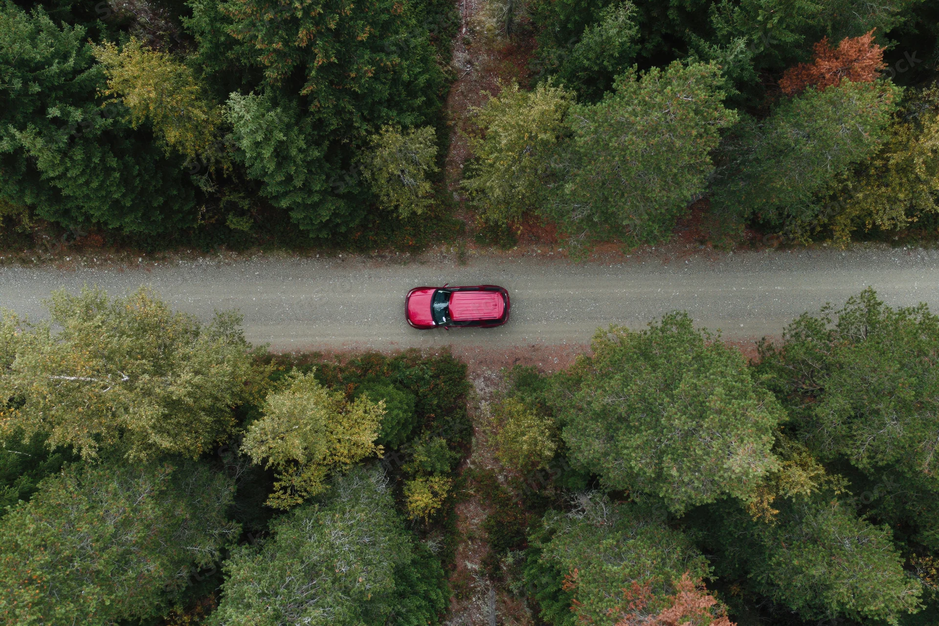 Red suv driving along narrow dirt road through dense forest from above