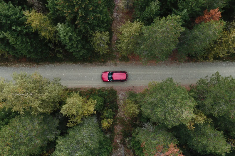 Red suv driving along narrow dirt road through dense forest from above