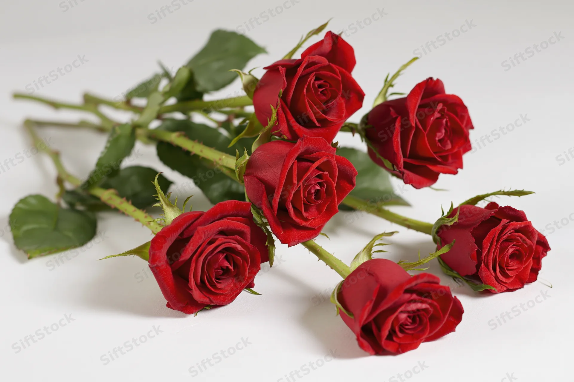 Six red roses with stems and green leaves arranged loosely on a white surface