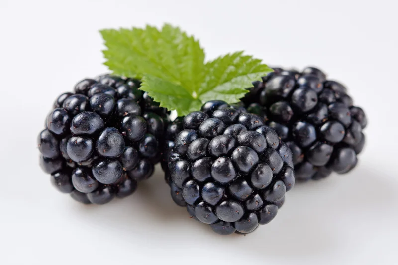 Three ripe blackberries clustered together with a small green leaf on white background