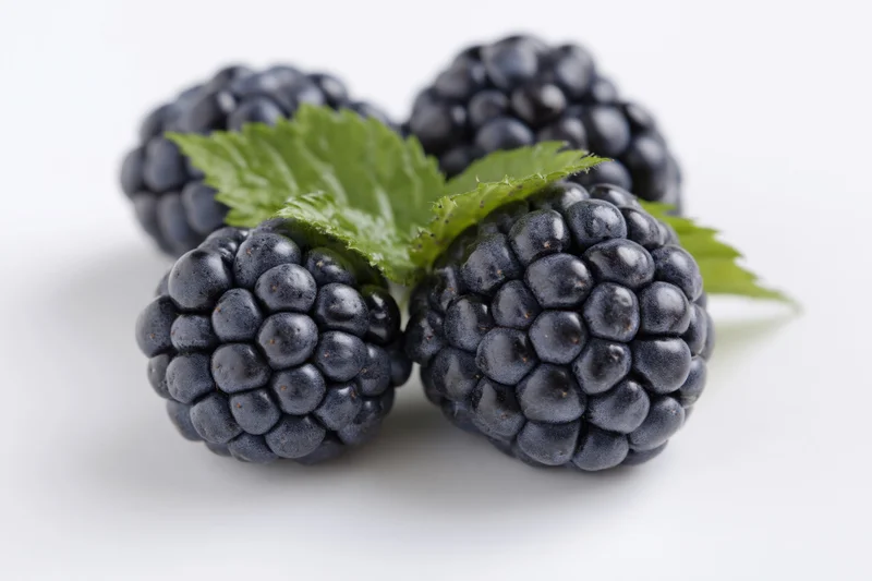 Four ripe blackberries clustered with a green leaf on a white surface
