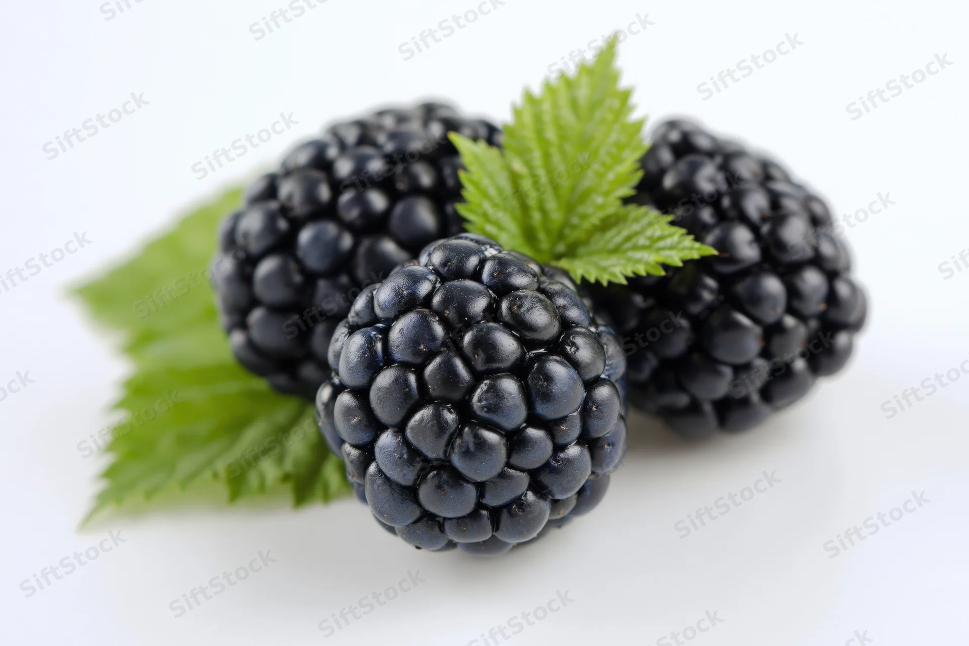 Three ripe blackberries clustered with green leaves on white background