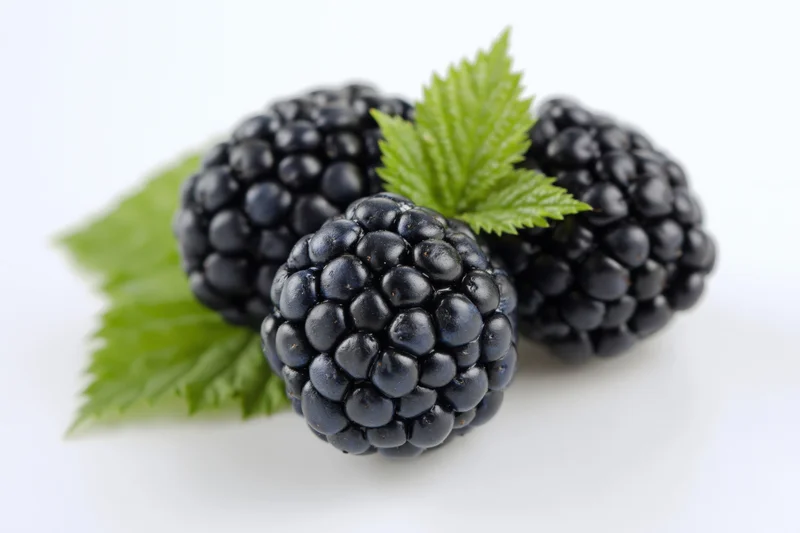 Three ripe blackberries clustered with green leaves on white background