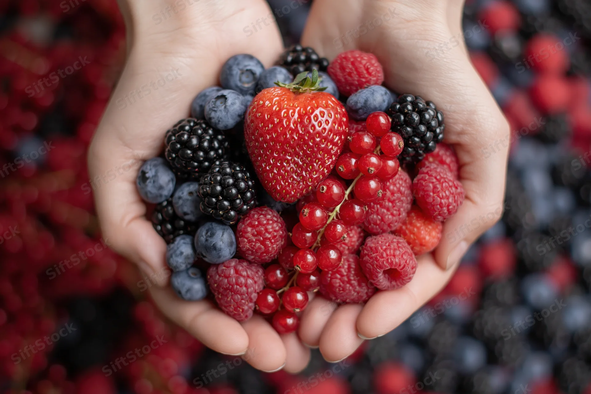 Cupped hands holding a mix of fresh strawberries, blueberries, raspberries, blackberries and redcurrants against a blurred berry background