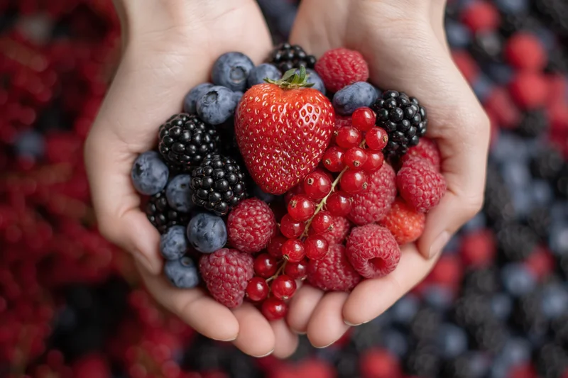 Cupped hands holding a mix of fresh strawberries, blueberries, raspberries, blackberries and redcurrants against a blurred berry background