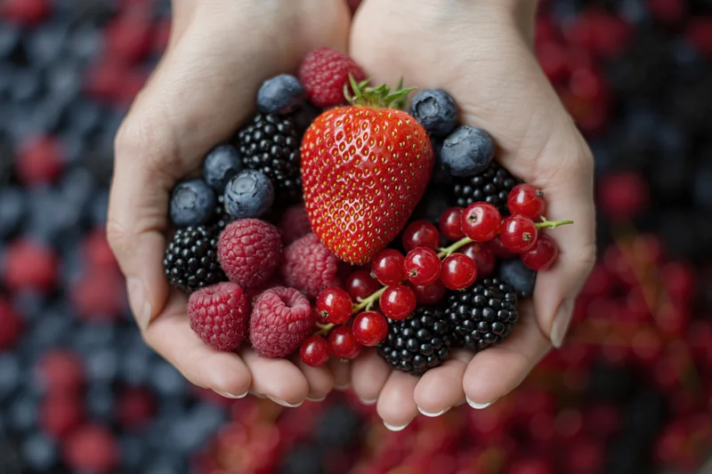 Hands cupped together holding a mix of fresh strawberries, blueberries, raspberries, blackberries and redcurrants over a blurred background of more berries