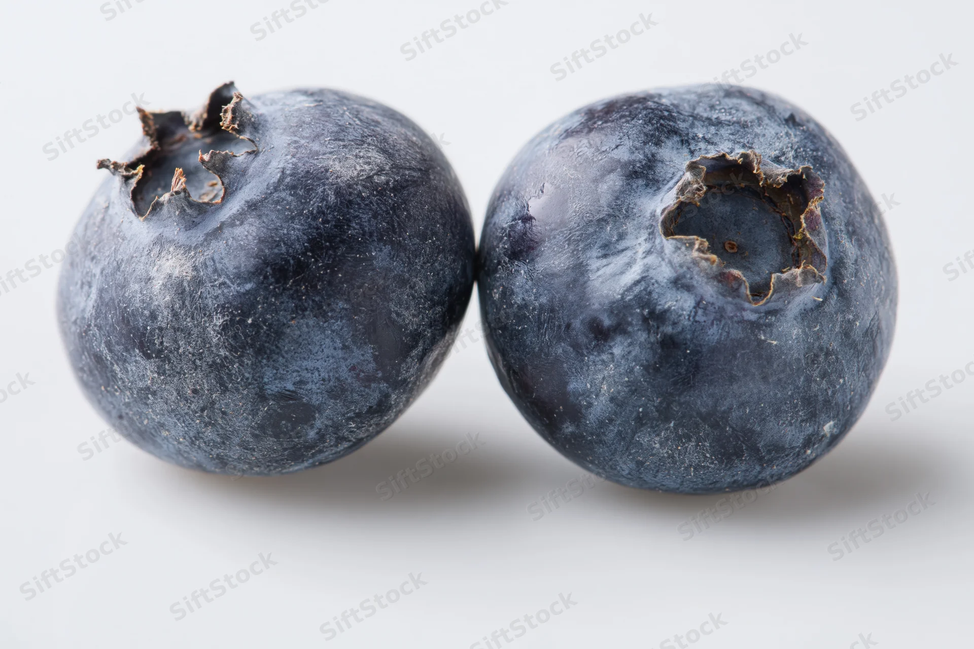 Two fresh blueberries side by side on a white background