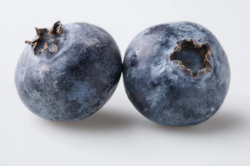 Two fresh blueberries side by side on a white background