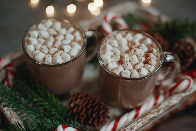 Two glass mugs of hot cocoa topped with mini marshmallows and cinnamon on a tray with candy canes and pinecones