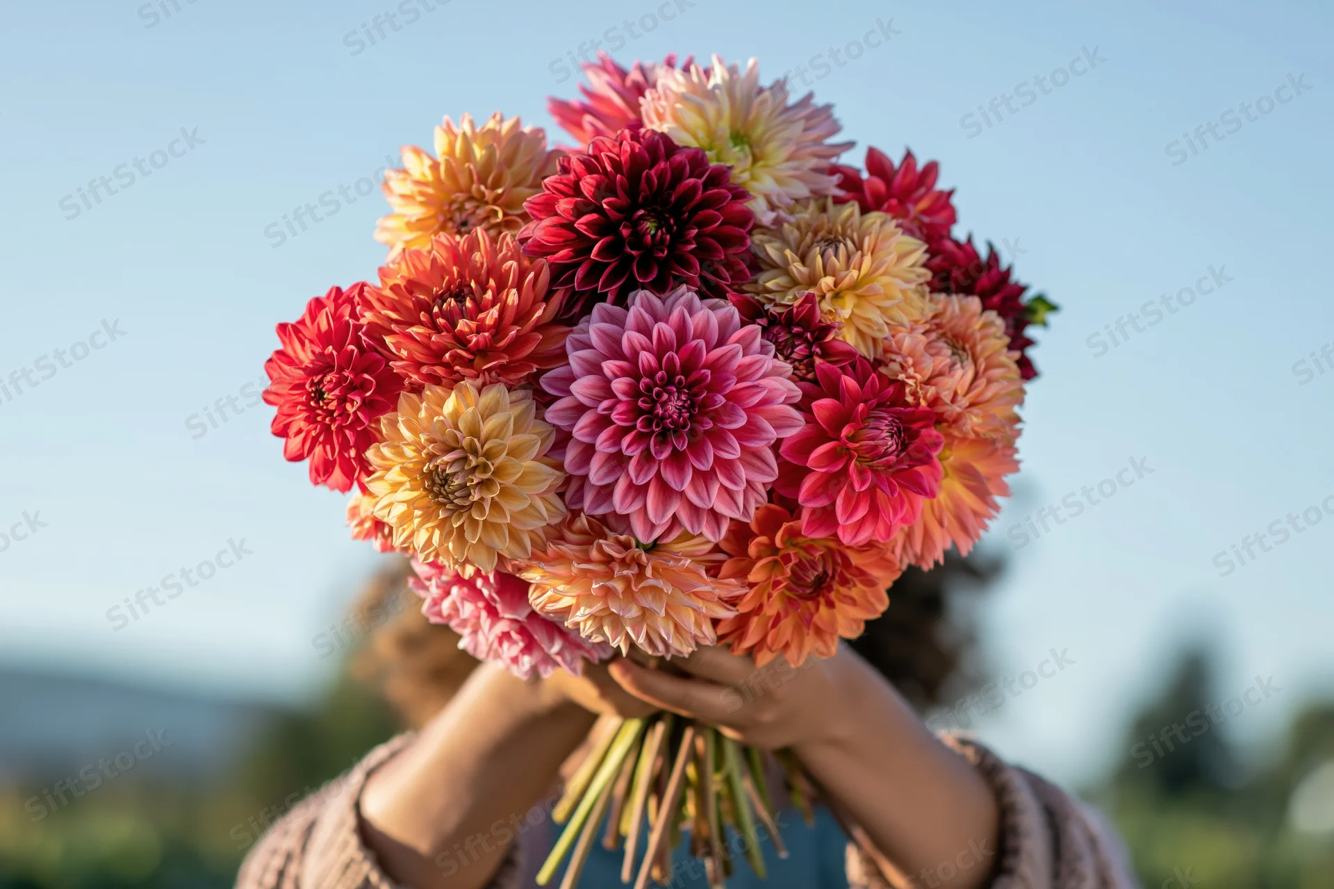 Woman holding large mixed dahlia bouquet outdoors with sky background