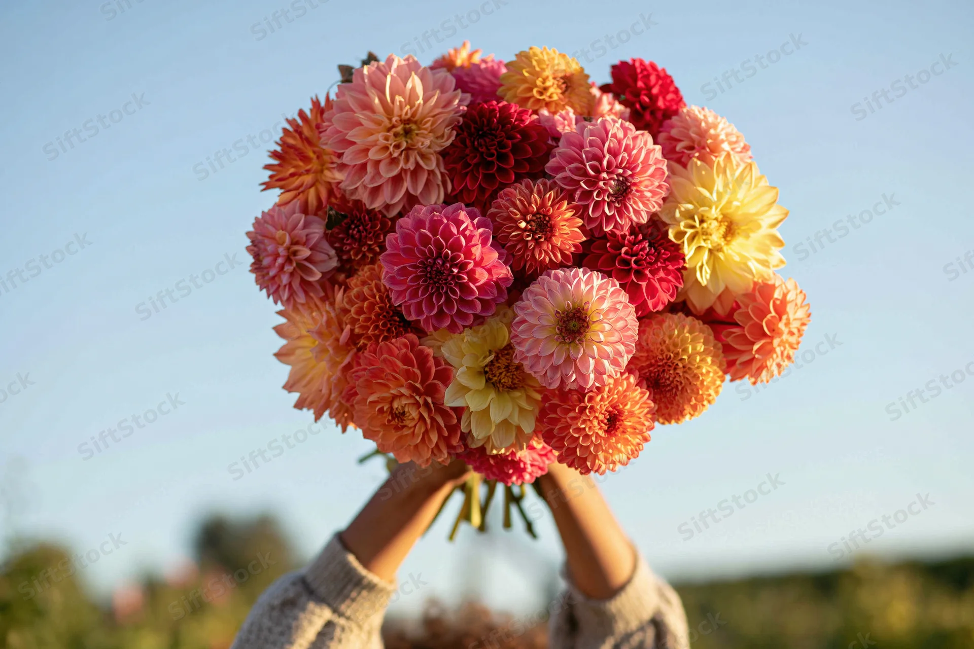 Woman holding large mixed dahlia bouquet outdoors against sky
