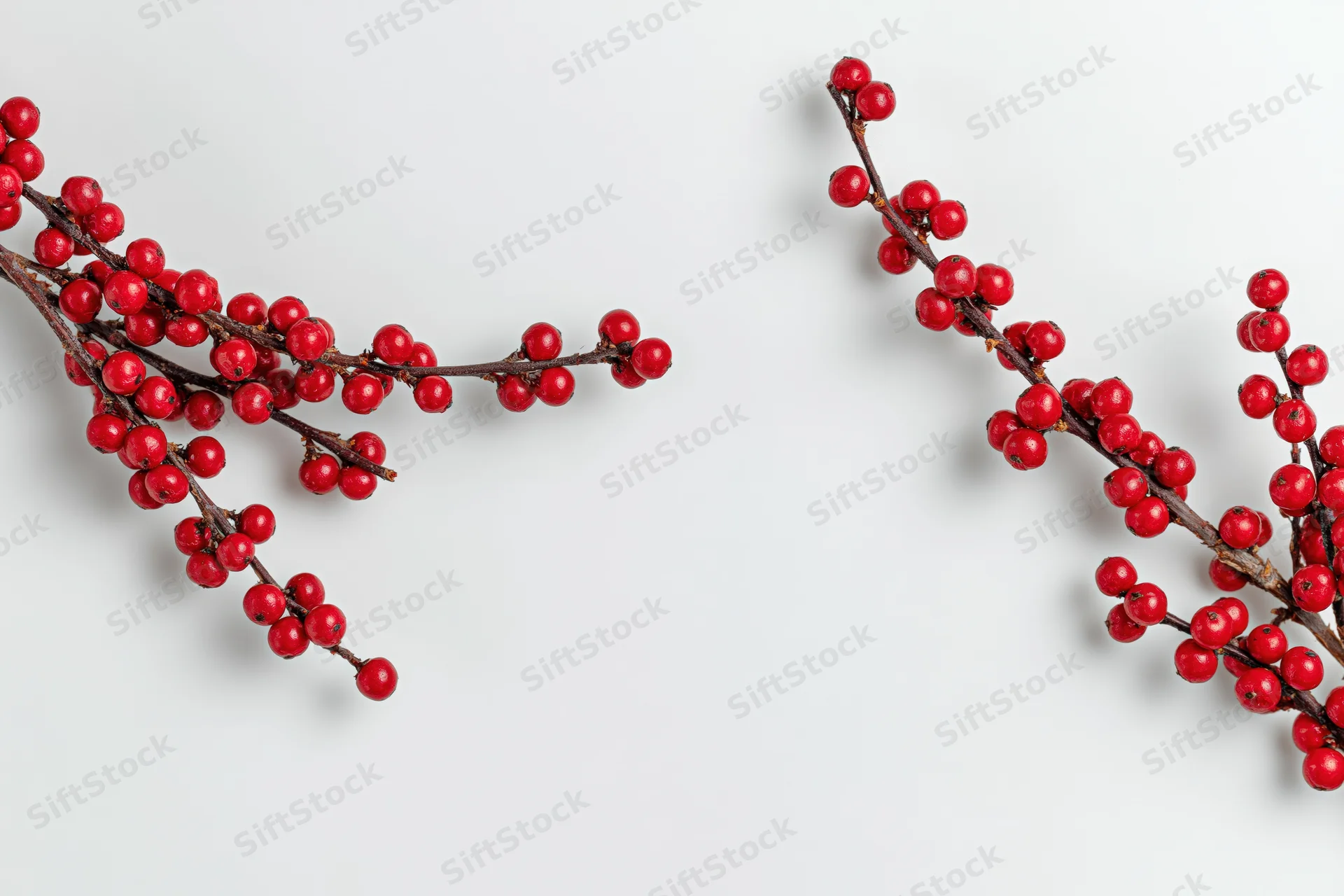 Two branches of glossy red winterberries arranged diagonally on white background with copyspace