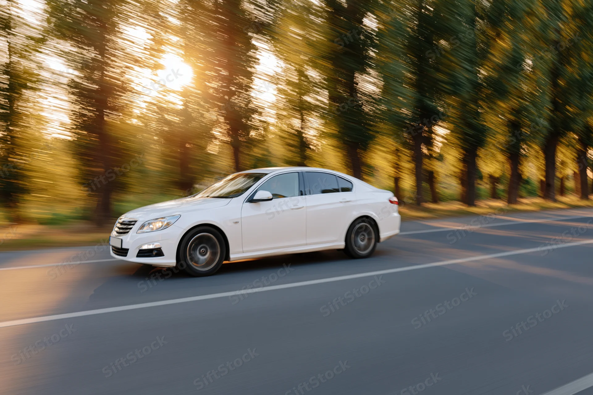 White european sport sedan driving fast on a two-lane asphalt road lined with trees at sunset