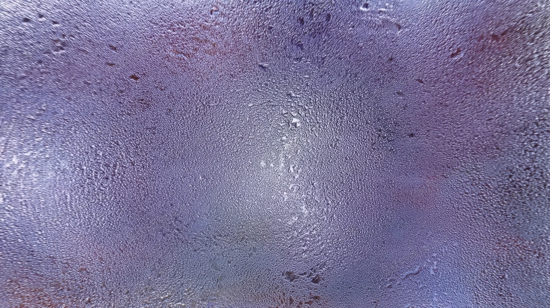 Closeup of water droplets on a foggy glass surface