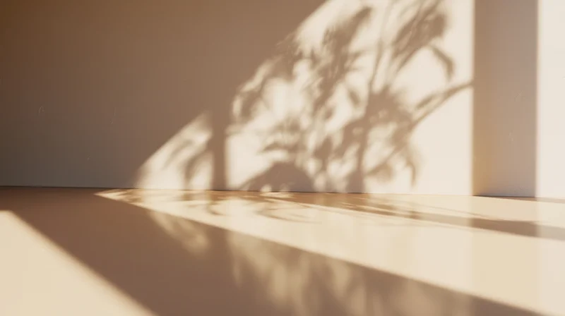 Sunlight casting plant shadow on minimalist interior wall and floor