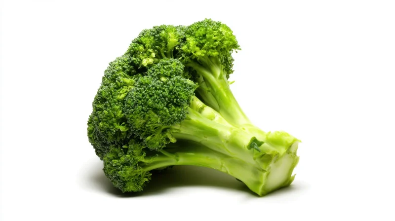 Fresh broccoli florets and stem on white background