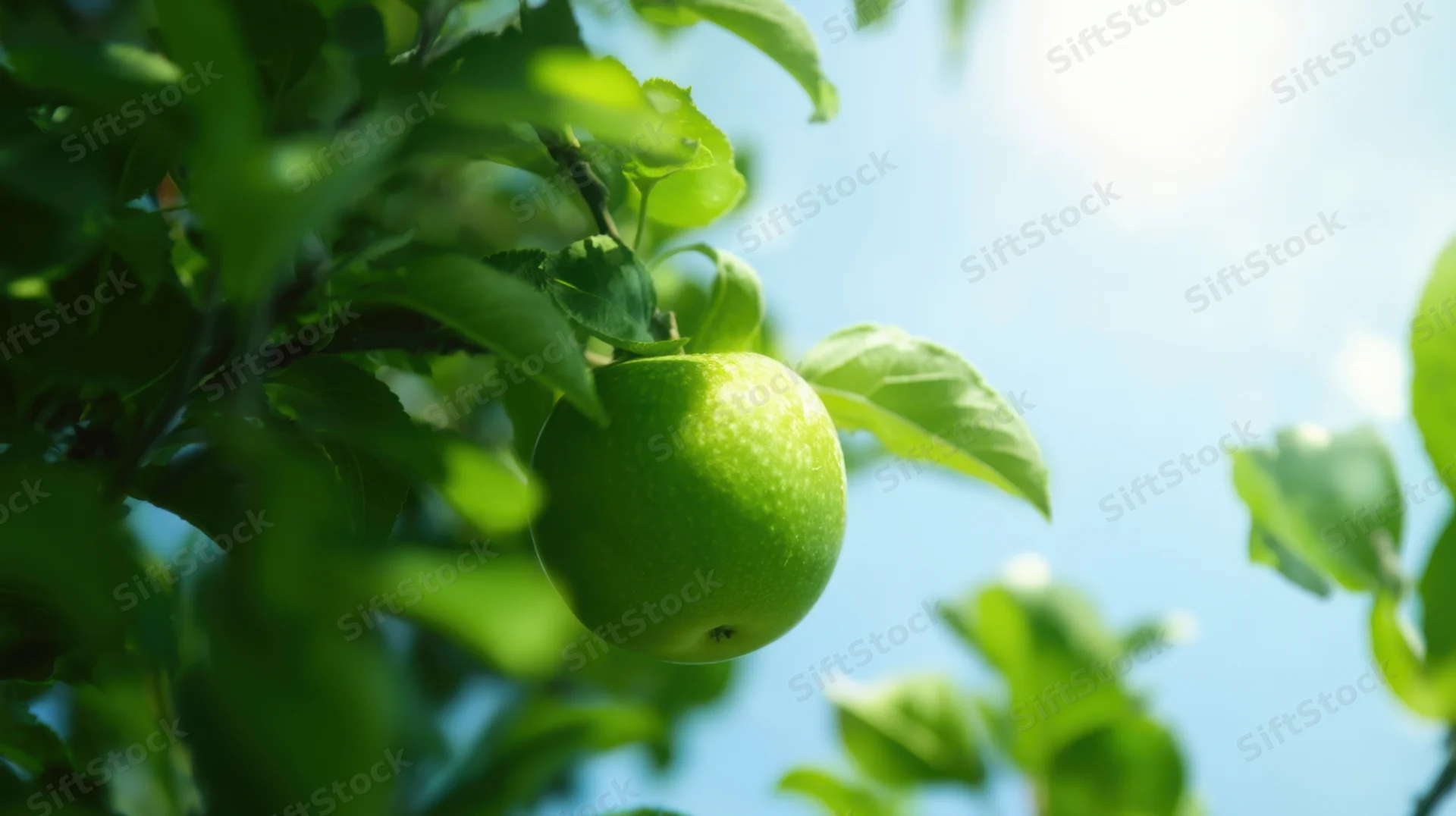 Green apple hanging from a tree branch against a bright blue sky with sunlight filtering through leaves