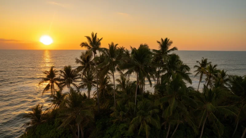 Sunset over ocean with palm trees along tropical coastline