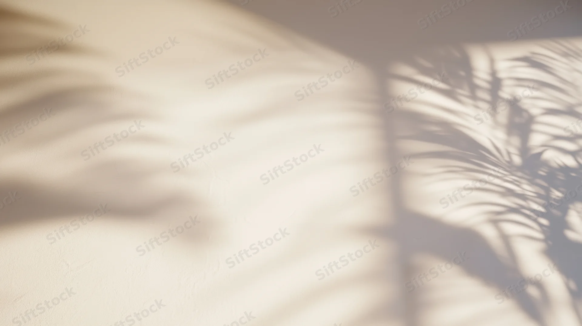 Soft shadows of palm leaves cast on a textured wall in a sunlit interior