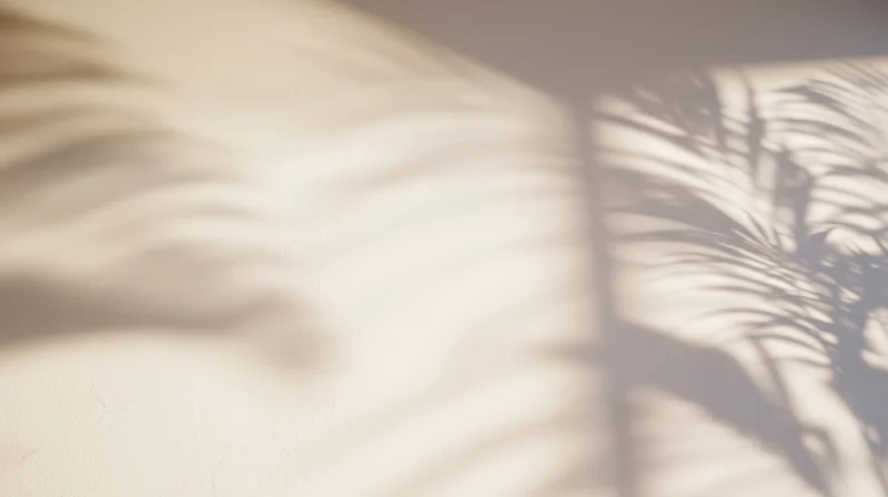 Soft shadows of palm leaves cast on a textured wall in a sunlit interior