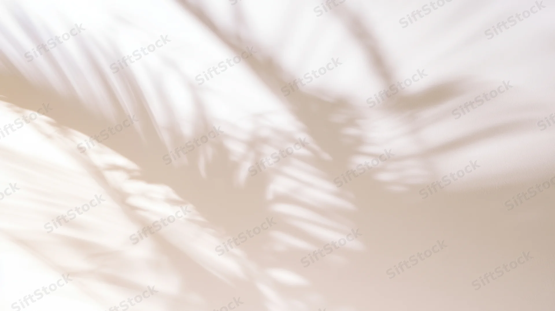 Soft shadows of palm leaves cast on a light beige wall